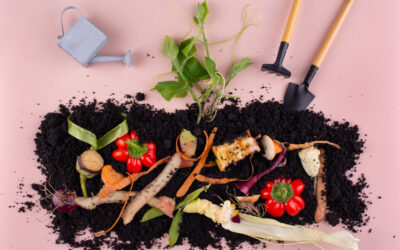 Techniques de Compostage pour un Sol Fertile